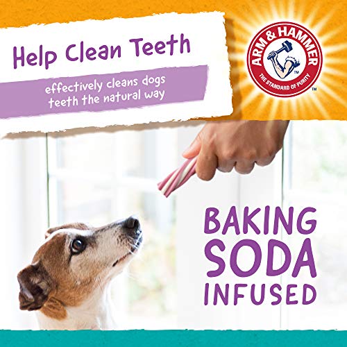 Arm & Hammer Fruit Twisters Fresh Breath Dental Treats for Dogs Arm