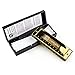 Vangoa Harmonica, 10 Hole 20 Tone Key of C Diatonic Harmonicas Mouth Organ with Case, User Manual and Cleaning Cloth for Professional Players Kids Beginners Adults, Gold