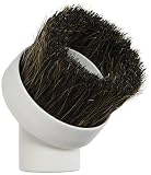 1st Choice 1 X Deluxe Replacement Dusting Brush, White, Brown