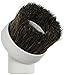 1st Choice 1 X Deluxe Replacement Dusting Brush, White, Brown
