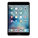 Apple iPad Mini 4 128GB W/Saiborie 49.99 Value Accessories, 7.9