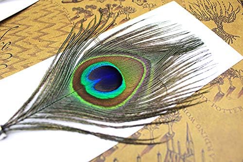 OPENDGO Peacock Feather Ballpoint Pen,Black Ink Vintage Feather Quill Refined Plated Rod Quill Ballpoint Pen For School Writing ▏Wedding Gift Signature Pen (1*Peacock Feather Pen) - Image 5