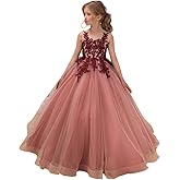 Flower Girl Dress Kids Lace Applique Pageant Ball Gown Prom Dresses