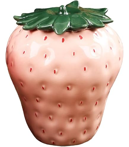 Amazon.com: Healvian Strawberry Ceramic Tea Canister with Lid Cute