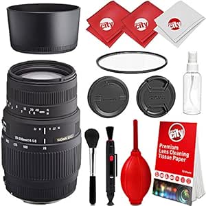 Sigma 70 - 300 mm f/4 - 5,6 DG teleobjetivo Zoom Lente para Nikon ...