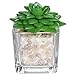 Small Glass Cube Artificial Plant Modern Home Decor/Faux Succulent Planter Pots, Set of 3 (Assortment 1)