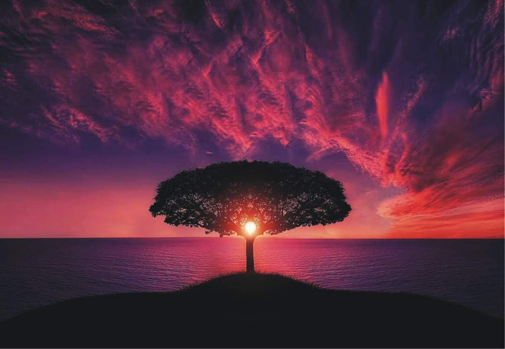 Amazon Com Tree Art Island Sunset Pink Purple Ocean Sky Nature Souvenir Refrigerator Locker Magnet 2 X 3 Fridge Magnet Kitchen Dining