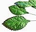 50 Pcs Mixed Rose Leaves Mulberry Paper Artificial Leaf, Mulberry Paper Leaves