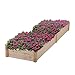 HYD-Parts Garden Bed Kit Planter Box for Vegetables Fruits Herb Grow, Planter Raised Beds (023)thumb 3