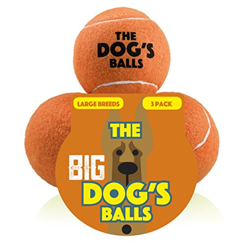 Buy The Dog's Balls Premium Dog Toy Ball for Dog Fetch and Play, Too