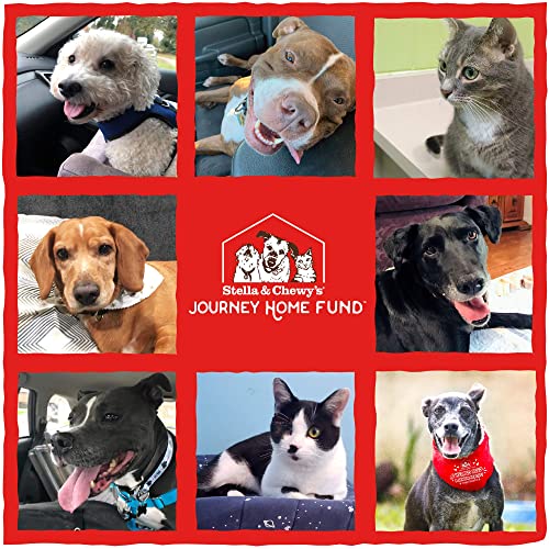 Stella & Chewy’s Freeze Dried Raw Tantalizing Turkey Meal Mixer Dog