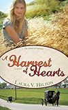 Harvest Of Hearts (Amish of Seymour Book 2) by Laura Hilton