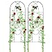 Amagabeli Garden Trellis for Climbing Plants 60" x 18" Rustproof Black Iron Butterfly Potted Vines Vegetables Flowers Patio Metal Lattices Grid Panels for Ivy Roses Cucumbers Clematis Supports 2 Pack