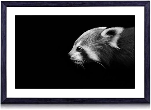 Amazon Co Jp 暗闇から届くレッサーパンダ 動物 白黒の絵画 装飾画 壁飾り アートパネル インテリアアート 木製の枠 壁ポスター モダン 現代壁の絵 額縁付きの完成品 横 30 40cm ホーム キッチン
