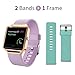 Fitbit Blaze Bands Small, JAKPAS 2PCS Silicone Replacement Bands with Rose Gold Frame for Fitbit Blaze Smart Fitness Watch (Turquoise & Light Purple)
