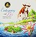The Bullfrog and The Cow Vietnamese/English Children's Bilingual Book