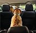 Gorilla Grip Original Premium Slip-Resistant Pet Car Seat Protector for Pets, Durable Protectors for Cars, Truck, SUV, Underside Grip, Waterproof, Seat Belt Openings, Pocket, X-Large (Bench: Black)