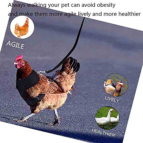 Verstellbares Hühner-Geschirr mit Leine, elastisch, bequem, atmungsaktiv, Haustiergeschirr für Ente, Gans, Henne Traning… – Bild 4