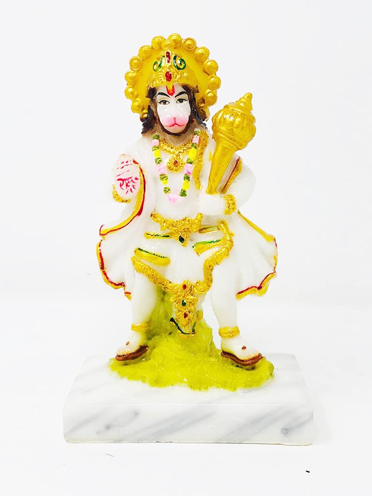 One Piece Merchandise Amazon India