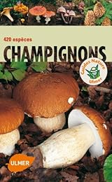 Champignons