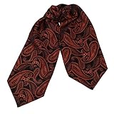 ERA1B07-08 Paisley Mens Ascot Woven Microfiber Cravat Wholesale Goods By Epoint