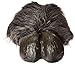 Beast or Goat (Satyr) Hooves (Grey) Hoof-Hearted Feet Adult Halloween Costume Accessory