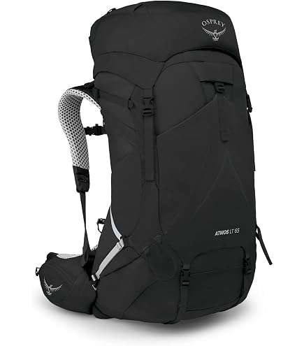 Osprey Aether Plus 100L Men's Backpacking Backpack, Axo Green, S/M : Sports & Outdoors