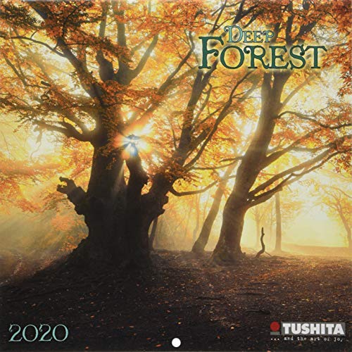 Deep Forest 2020: Kalender by 