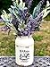 Farmers Market Decorative Water Milk Can Jug Metal Galvanized Decor Country Vase Succulent Flowers Rustic Cream 9