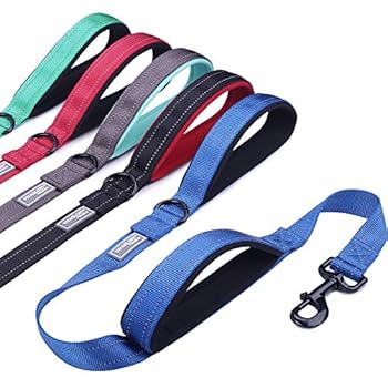 Vivaglory Padded Handle Dog Leash, Heavy Duty 4ft Long Double Handle Leash Reflective Safety Training Leash Walking Lead for Medium to Large Dogs, Royal Blue