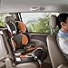 Graco Affix Highback Booster Car Seat with Latch System, Tangerine