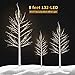 LED Birch Tree Lights LightMe Artificial 8FT 132 Warm White LED Lighted Birch Tree Lamp for Office, Home, Patio, Garden, Festival, Party, Wedding, Christmas, Halloween Decor Indoor Outdoor(White Tree)