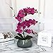 LIVILAN Large Lifelike Silk Orchid with Decorative Ceramic Grey Vase Vivid Artificial Flower Arrangement Potted Orchid Plant, Fuchsia
