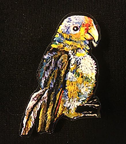 Frida Parrot Pin Brooch Handcrafted Wood Mexican Art Lover Gift Kahlo Self Portrait Jewelry Artist Card Bird Art Mexico