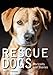 Rescue Dogs: Portraits and Stories by 