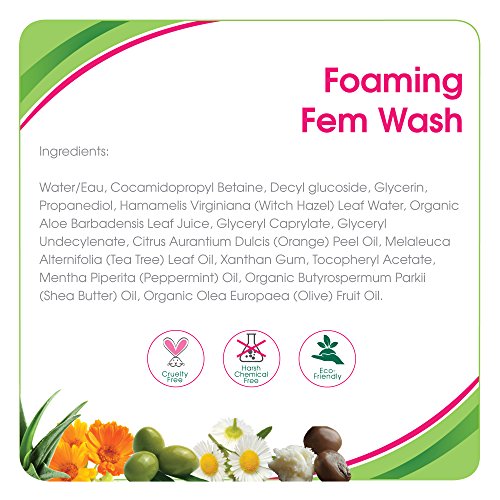 Aleva Naturals Foaming Fem Wash, 6.7 Ounce