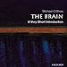 The Brain: A Very Short Introduction