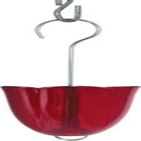 Amazon Com Droll Yankees Am Ant Moat 3 4 Cup Ant Deterrent For