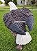 GARDENGREETERS Large American Eagle Statue - Large Eagle