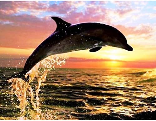 5D Diamond Embroidery Painting Dolphin,JoyStreet DIY Rhinestones Paintings Cross Stitch Home Decor Best Gifts (Frame Not included) 30x40CM