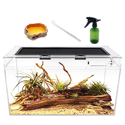 Reptile Growth 10 Gallon Terrarium