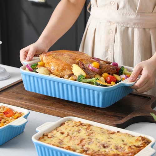 MALACASA Casserole Dishes for Oven, Porcelain Baking Dishes, Ceramic Bakeware Sets of 4, Rectangular Lasagna Pans Deep with Handles for Baking Cake Kitchen, Blue (9.4"/11.1"/12.2"/14.7"), Series