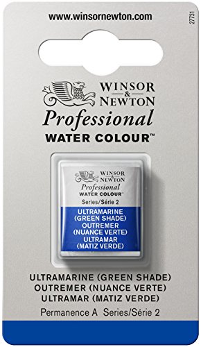 Winsor & newton professional water color with half …