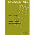 Numerical Methods for Conservation Laws