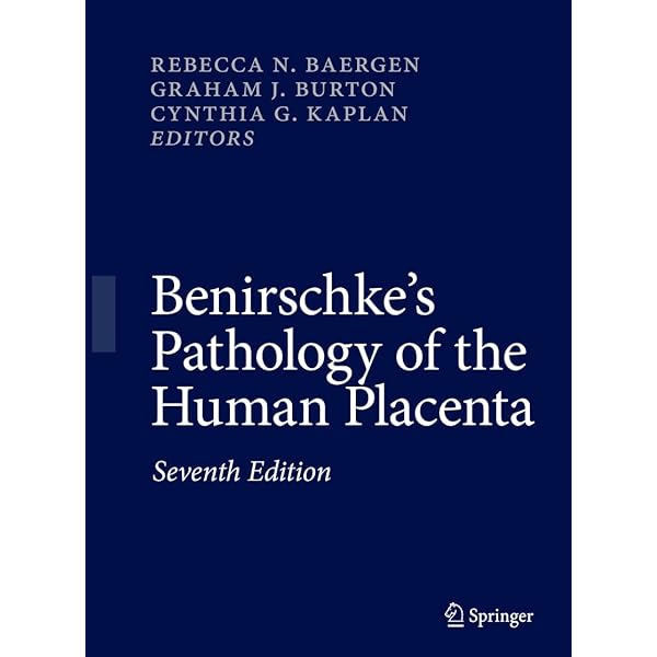 Blaustein's Pathology of the Female Genital Tract: 9781441904881