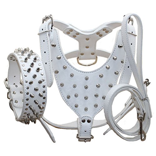 haoyueer Leather Spiked Studded Medium & Large Dog Collars, Harnesses & Leashes 3Pcs Matching Set for Pit Bull,Mastiff, Boxer, Bull Terrier (L, White)