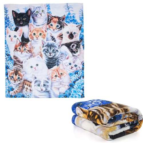 Dawhud Direct Collage Kitten Fleece Blanket for Bed, 75