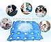 EVEROVE Air Inflatable Seat Cushion 17