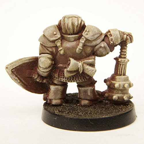Stonehaven Dwarf Paladin Miniature Figure for 28mm Table top Wargames - Made in USA