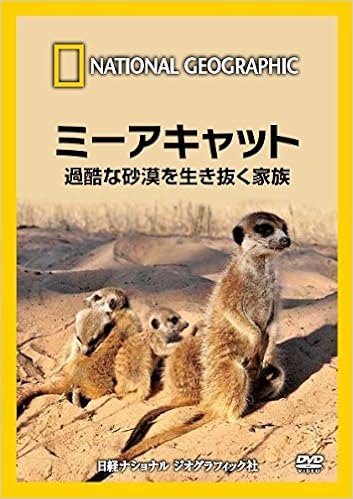 Dvd ミーアキャット 過酷な砂漠を生き抜く家族 ナショナル ジオグラフィック 本 通販 Amazon